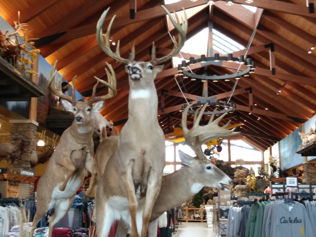 WHITETAILS UNLIMITED  DEER CAMP TOUR 2019