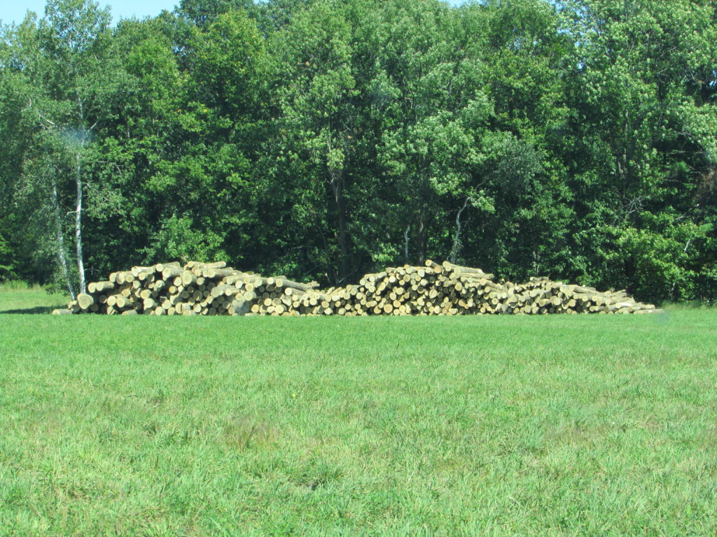MAKE YOUR VOICE HEARD: SUPPORT WISCONSIN’S FOREST PRODUCTS INDUSTRY