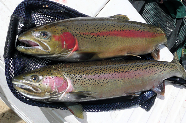 FISHING REPORT FOR MARCH 28, 2022 BY THE DNR
