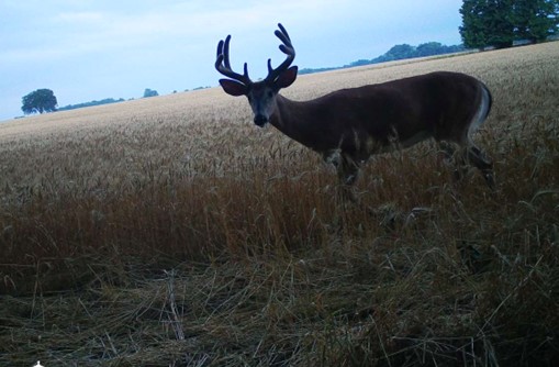 Late Season Deer Hunting Opportunities In Wisconsin