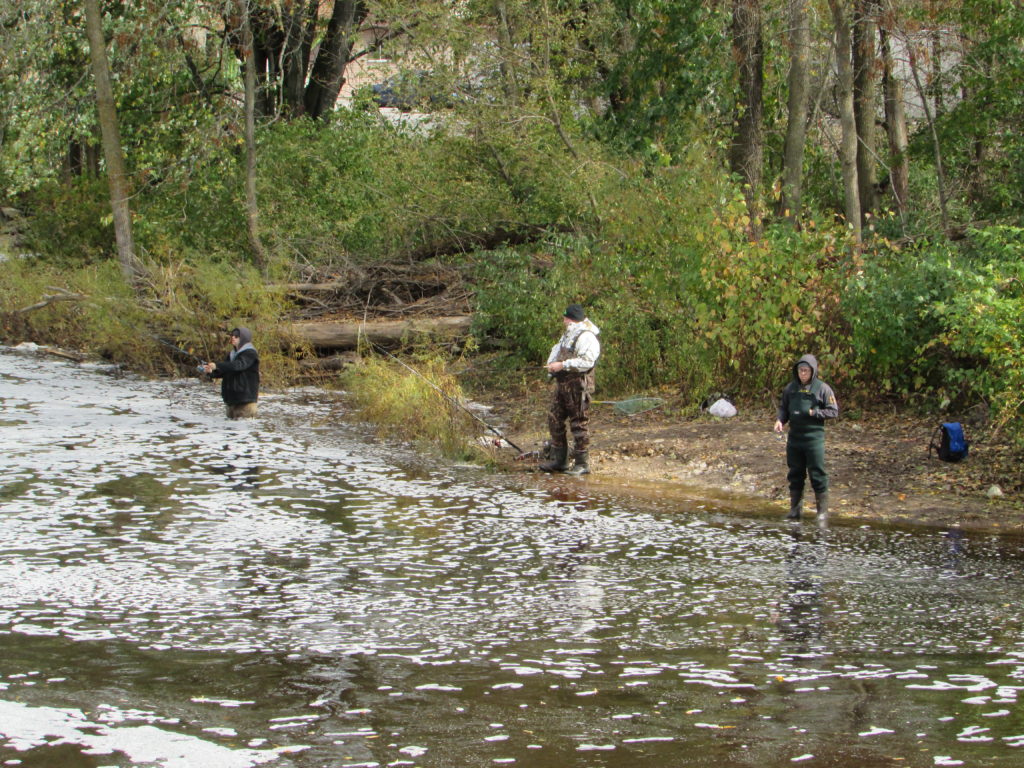 Wisconsin DNR Issues New Regs for Turtle-Flambeau Walleye Fisheries