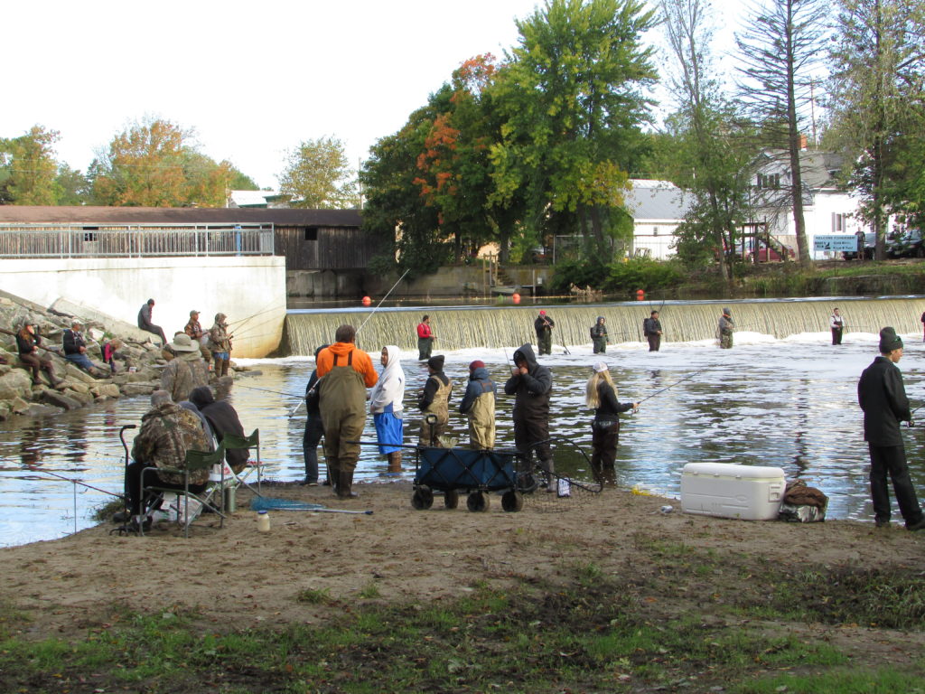 New Smelt Consumption Advisory for Lake Superior