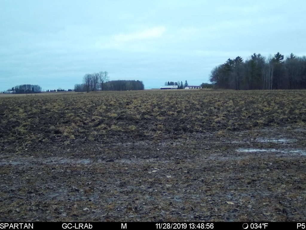 Texas Waterfowl/Sandhill Crane From Field To Table