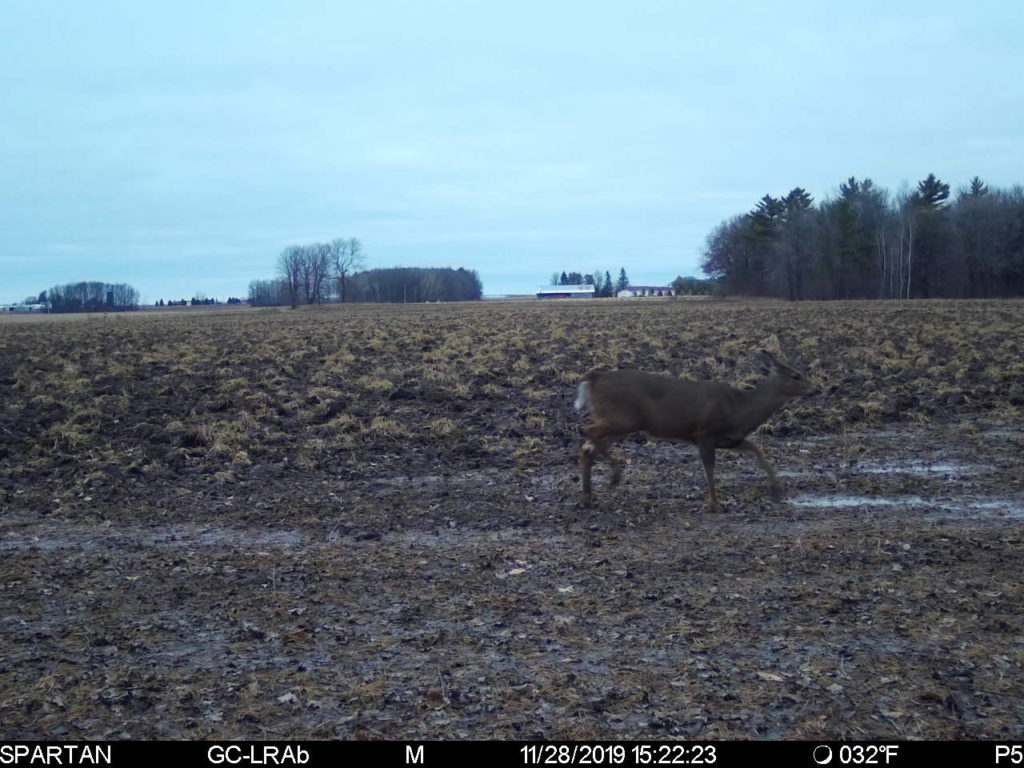 Ameristep Pro Series Thermal Blind  – The Ultimate In-Field Experience