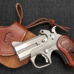 Anti-Gun States Want to Disarm Citizens While Arming Non-Citizens