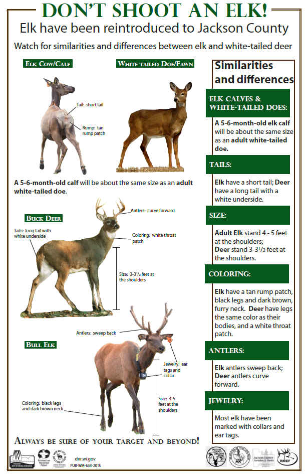 Be Sure of Your Target: Deer Hunters Reminded To Watch Out For Elk & Moose