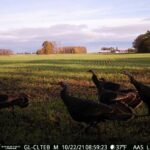 2026 Spring Turkey Season Opens April 15