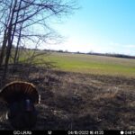 Technical spring turkey protection with the Blocker Outdoors® Shield Drencher Jacket and Pant for the hardcore woodsman