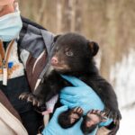 UW–Stevens Point Graduate Student Hayden Walkush Honored with Boone and Crockett Club Fellow Outstanding Achievement Award