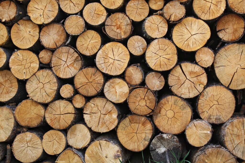 Forest Products News – October 2024