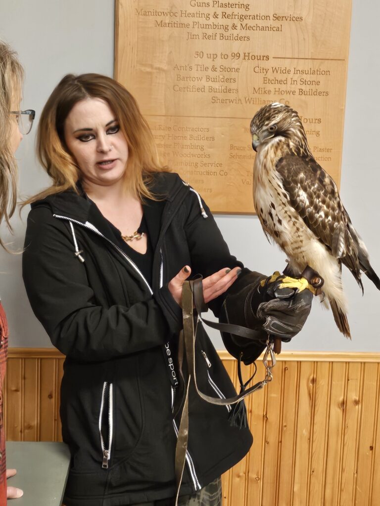 Amanda Stewart and her Red-Tail Hawk named Mack.