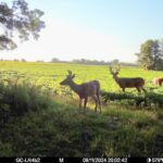 RLVNT Adds Frame to Hi-Tech Fishing/Hunting Sunglasses Family