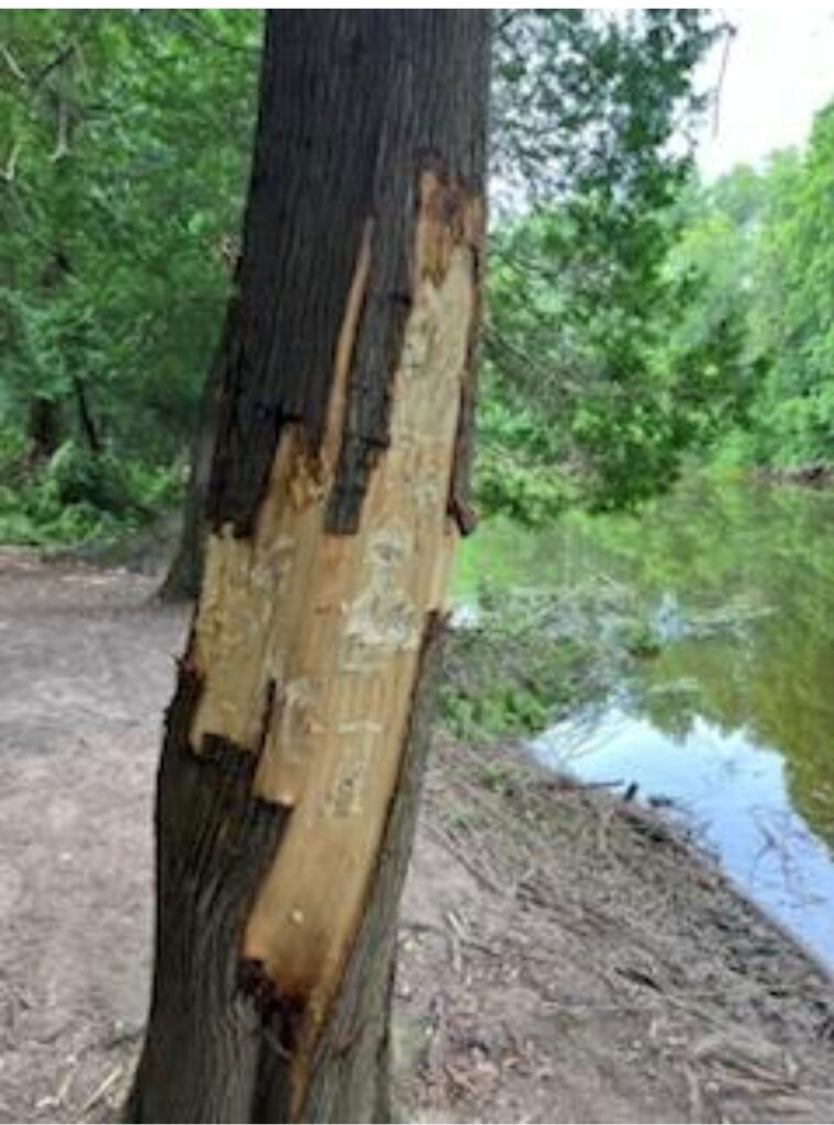 Izaak Walton League Property Damaged by Idiots