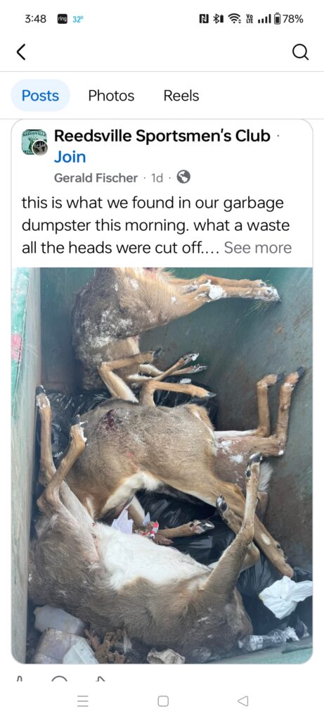 UP DATE ON DEER HEADS BEING CUT OFF IN 2025 FOUND AT REEDSVILLE SPORTSMEN’S CLUB