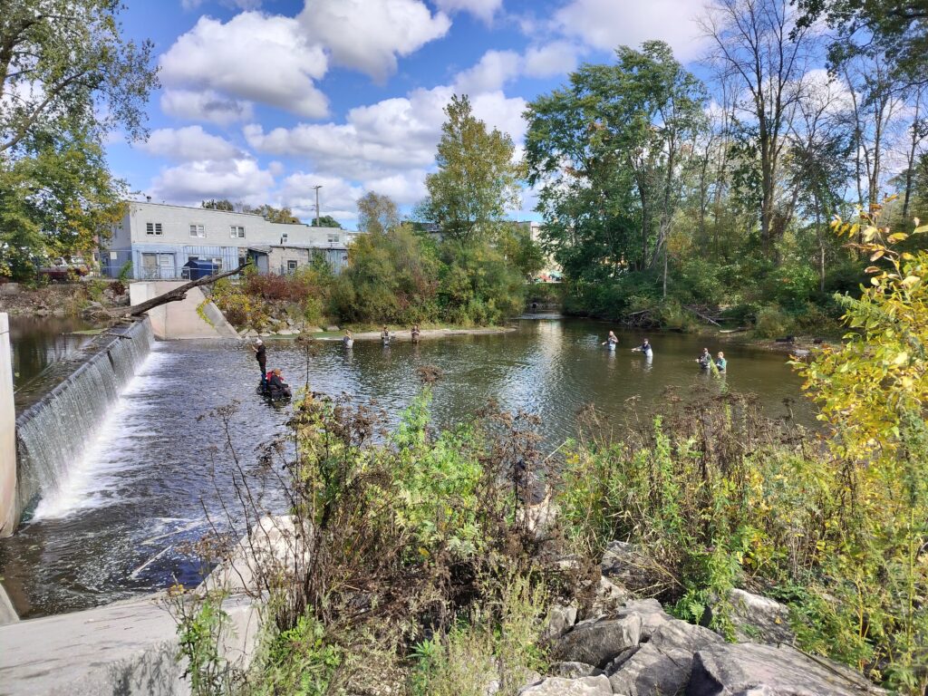 East Twin River in Mishicot, WI  Fishing for Salmon