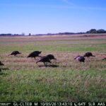Many Hunting Seasons Open Statewide